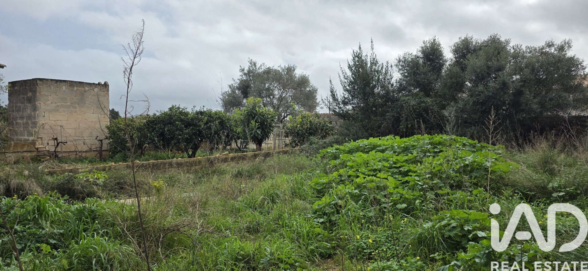 Land plot à Sant Llorenc Des Cardassar, Mallorca, Espagne 235 m2 No. 185792