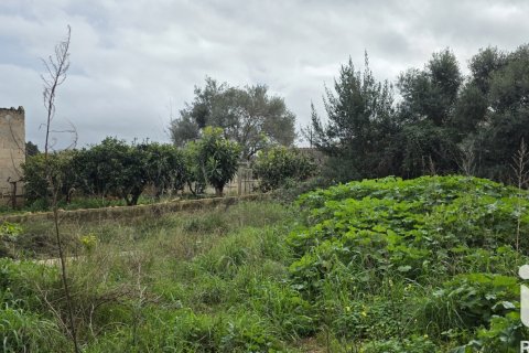 Land plot à vendre à Sant Llorenc Des Cardassar, Mallorca, Espagne, 235 m2 No. 185792 - photo 5