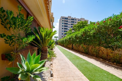 Huoneisto myytävänä Punta Prima, Alicante, Espanja, 2 makuuhuonetta, 62 m2 No. 137957 - kuva 28
