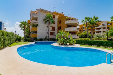 Huoneisto myytävänä Punta Prima, Alicante, Espanja, 2 makuuhuonetta, 62 m2 No. 137957 - kuva 24