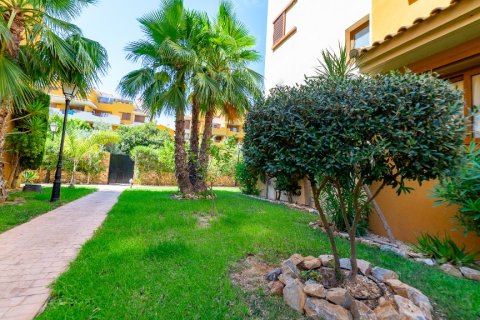 Huoneisto myytävänä Punta Prima, Alicante, Espanja, 2 makuuhuonetta, 62 m2 No. 137957 - kuva 27