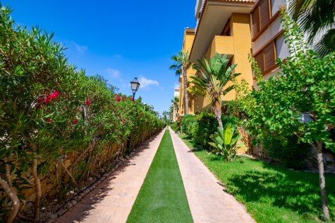 Huoneisto myytävänä Punta Prima, Alicante, Espanja, 2 makuuhuonetta, 62 m2 No. 137957 - kuva 29