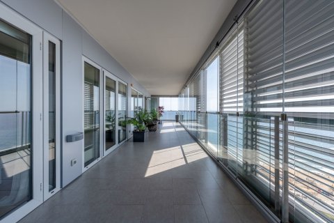 Dzīvoklis pārdošanā Barcelona, Spānijā 4 istabas, 242 m2 Nr. 154586 - attēls 5