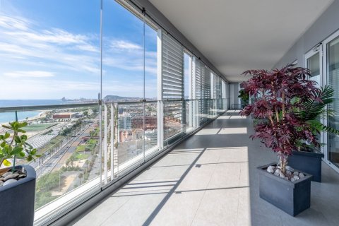Dzīvoklis pārdošanā Barcelona, Spānijā 4 istabas, 242 m2 Nr. 154586 - attēls 3