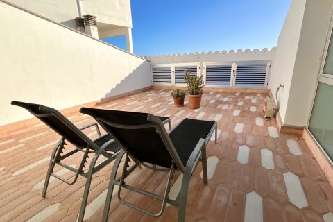 Villa for rent in Sa Rapita, Mallorca, Spain 4 bedrooms, 240 sq.m. No. 160605 - photo 12