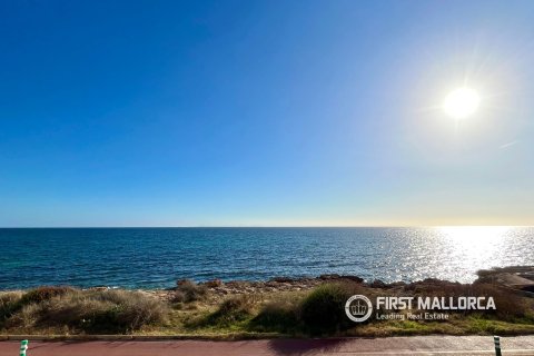 Villa zur Miete in Sa Rapita, Mallorca, Spanien 4 Schlafzimmer, 240 m2 Nr. 160605 - Foto 19
