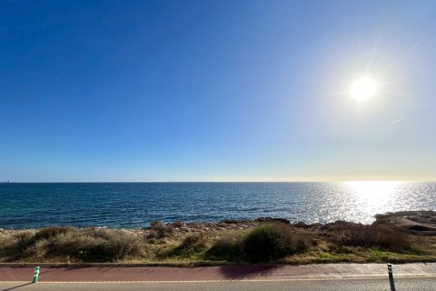 Villa for rent in Sa Rapita, Mallorca, Spain 4 bedrooms, 240 sq.m. No. 160605 - photo 18