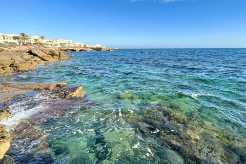 Villa for rent in Sa Rapita, Mallorca, Spain 4 bedrooms, 240 sq.m. No. 160605 - photo 19