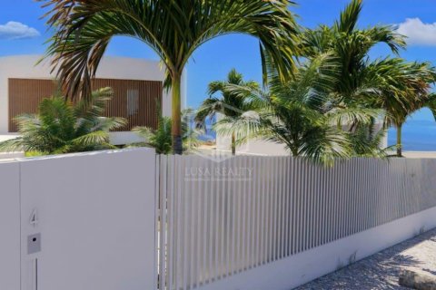 Działka w Adeje, Tenerife, Hiszpania nr 160602 – zdjęcie 15