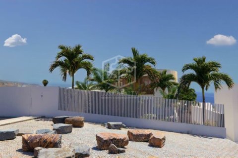 Działka w Adeje, Tenerife, Hiszpania nr 160602 – zdjęcie 16