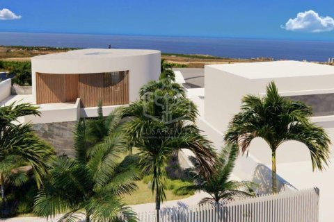 Działka w Adeje, Tenerife, Hiszpania nr 160602 – zdjęcie 14