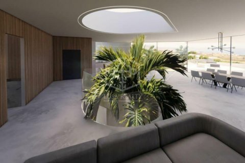 Działka w Adeje, Tenerife, Hiszpania nr 160602 – zdjęcie 24