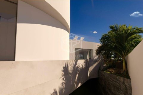 Działka w Adeje, Tenerife, Hiszpania nr 160602 – zdjęcie 12