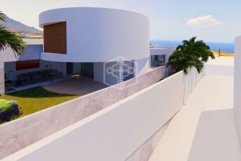 Działka w Adeje, Tenerife, Hiszpania nr 160602 – zdjęcie 21