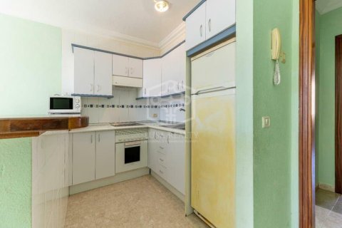 Proprietà commerciale in vendita a Arona, Tenerife, Spagna 14 camere da letto, 453 mq. N° 160601 - foto 14