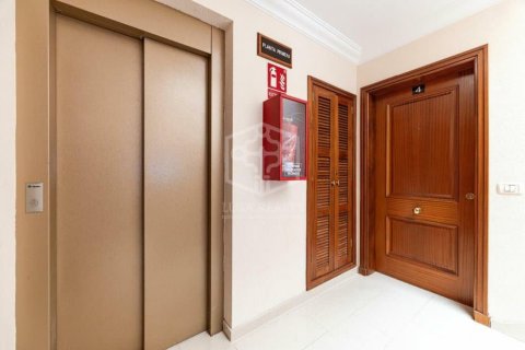 Proprietà commerciale in vendita a Arona, Tenerife, Spagna 14 camere da letto, 453 mq. N° 160601 - foto 7