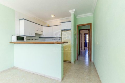 Proprietà commerciale in vendita a Arona, Tenerife, Spagna 14 camere da letto, 453 mq. N° 160601 - foto 13