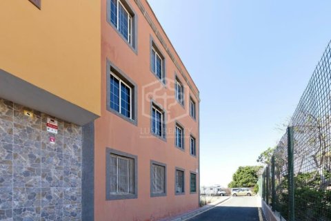 Proprietà commerciale in vendita a Arona, Tenerife, Spagna 14 camere da letto, 453 mq. N° 160601 - foto 2