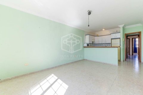 Proprietà commerciale in vendita a Arona, Tenerife, Spagna 14 camere da letto, 453 mq. N° 160601 - foto 9