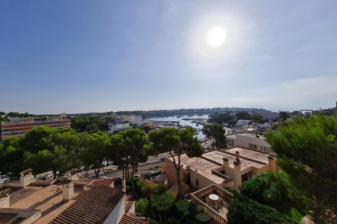 Penthouse for rent in Portopetro, Mallorca, Spain 3 bedrooms, 167 sq.m. No. 160604 - photo 14