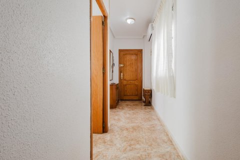 Lägenhet i Torrevieja, Alicante, Spanien 2 sovrum, 80 kvm. Nr. 184235