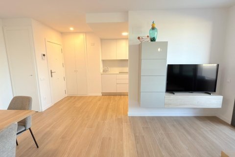 Apartamento en alquiler en San Juan, Alicante, España 1 dormitorio, 100 m2 No. 140572 - foto 10