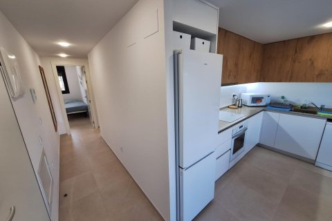 Apartment for rent in Torrevieja, Alicante, Spain 84 sq.m. No. 140573 - photo 16