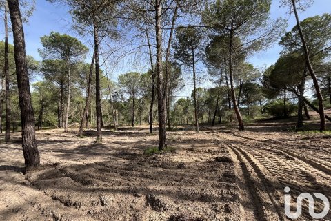 Land plot for sale in Villablanca, Huelva, Spain 16000 sq.m. No. 186122 - photo 6