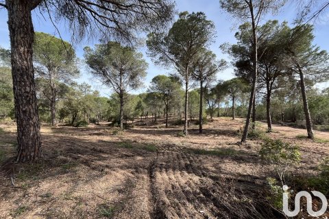 Land plot for sale in Villablanca, Huelva, Spain 16000 sq.m. No. 186122 - photo 3
