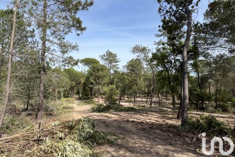 Land plot for sale in Villablanca, Huelva, Spain 16000 sq.m. No. 186122 - photo 5