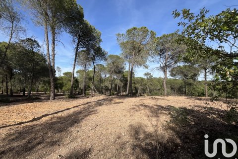 Land plot for sale in Villablanca, Huelva, Spain 16000 sq.m. No. 186122 - photo 11