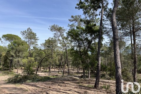Land plot for sale in Villablanca, Huelva, Spain 16000 sq.m. No. 186122 - photo 4