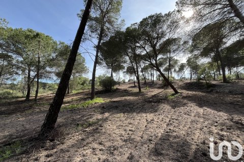 Land plot for sale in Villablanca, Huelva, Spain 16000 sq.m. No. 186122 - photo 8