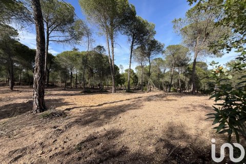 Land plot for sale in Villablanca, Huelva, Spain 16000 sq.m. No. 186122 - photo 10