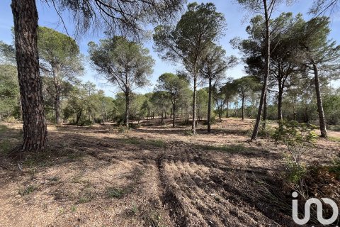 Land plot for sale in Villablanca, Huelva, Spain 16000 sq.m. No. 186122 - photo 2