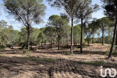 Land plot in Villablanca, Huelva, Spain 16000 sq.m. No. 186122