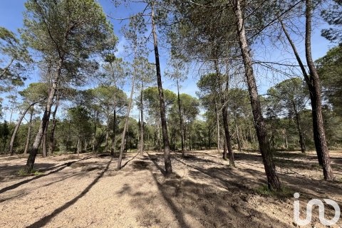 Land plot for sale in Villablanca, Huelva, Spain 16000 sq.m. No. 186122 - photo 7