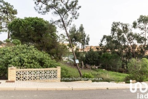 Land plot in Lepe, Huelva, Spain 850 sq.m. No. 186118