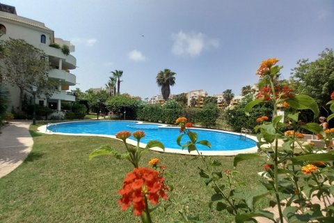 Huoneisto myytävänä Punta Prima, Alicante, Espanja, 2 makuuhuonetta, 125 m2 No. 189904 - kuva 25