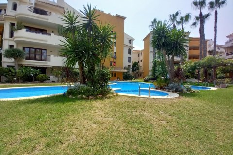 Huoneisto myytävänä Punta Prima, Alicante, Espanja, 2 makuuhuonetta, 125 m2 No. 189904 - kuva 29