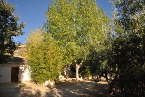 Finca en venta Jijona, Alicante, España 5 dormitorios,  No. 139539 - foto 8