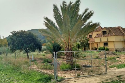 Villa pārdošanā Aspe, Alicante, Spānijā 5 istabas, 380 m2 Nr. 139545 - attēls 4