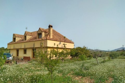 Villa pārdošanā Aspe, Alicante, Spānijā 5 istabas, 380 m2 Nr. 139545 - attēls 14