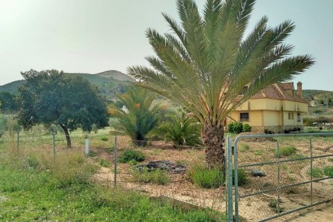 Villa pārdošanā Aspe, Alicante, Spānijā 5 istabas, 380 m2 Nr. 139545 - attēls 3