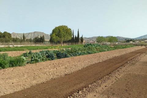 Villa pārdošanā Aspe, Alicante, Spānijā 5 istabas, 380 m2 Nr. 139545 - attēls 6