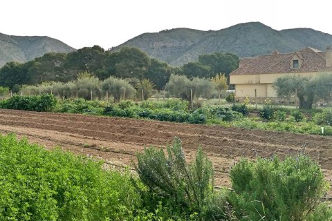 Villa pārdošanā Aspe, Alicante, Spānijā 5 istabas, 380 m2 Nr. 139545 - attēls 7