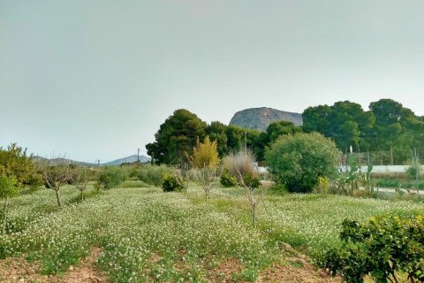 Villa pārdošanā Aspe, Alicante, Spānijā 5 istabas, 380 m2 Nr. 139545 - attēls 5