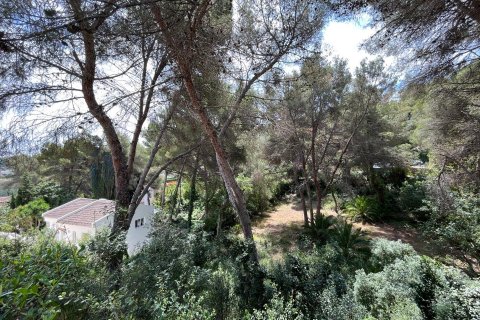 Land plot for sale Cap Martin, Alicante, Spain No. 116480 - photo 12
