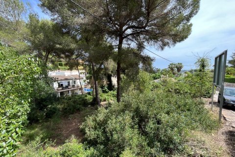 Land plot for sale Cap Martin, Alicante, Spain No. 116480 - photo 5