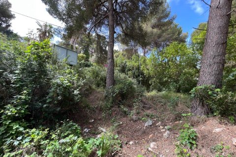 Land plot for sale Cap Martin, Alicante, Spain No. 116480 - photo 11